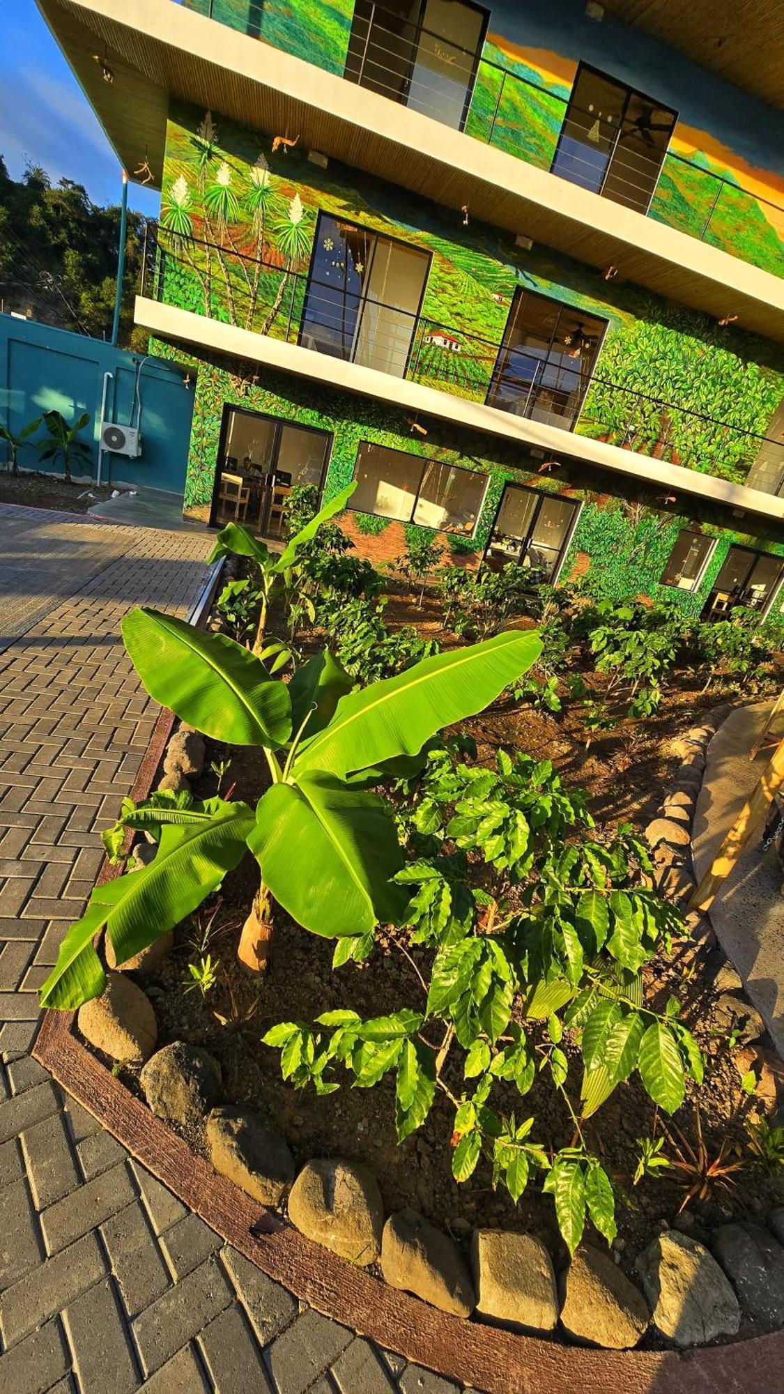 Bonding Coffee Roaster Cafe & Hotel كيبوس المظهر الخارجي الصورة