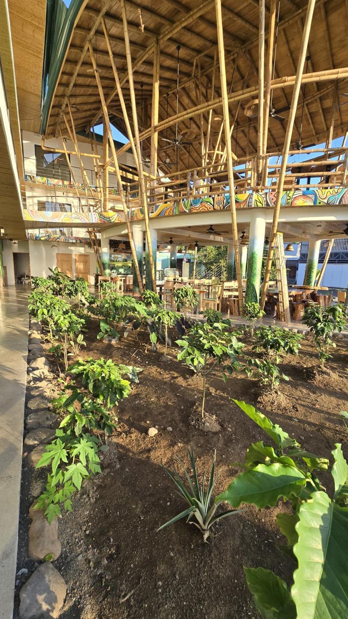 Bonding Coffee Roaster Cafe & Hotel كيبوس المظهر الخارجي الصورة