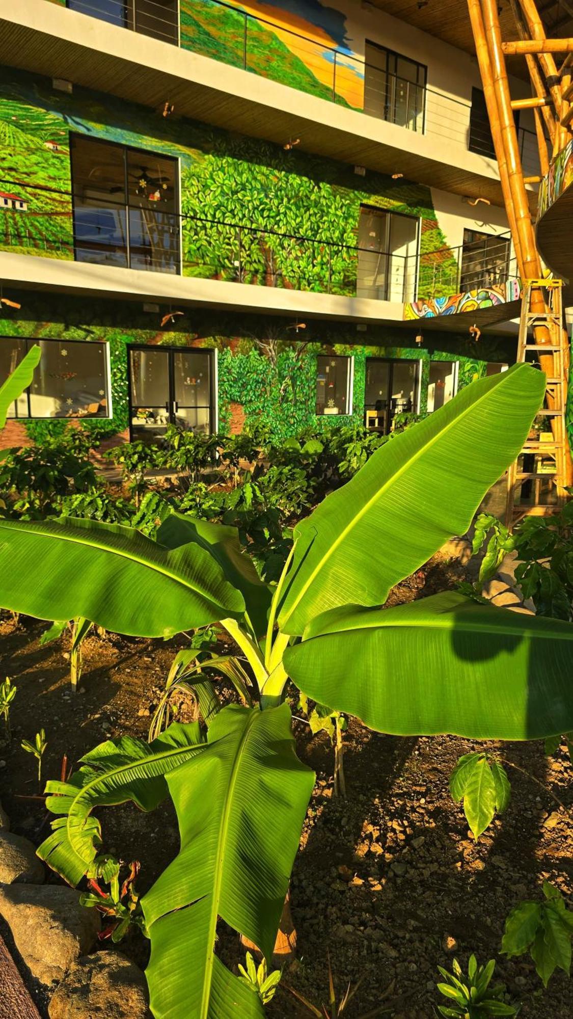 Bonding Coffee Roaster Cafe & Hotel كيبوس المظهر الخارجي الصورة