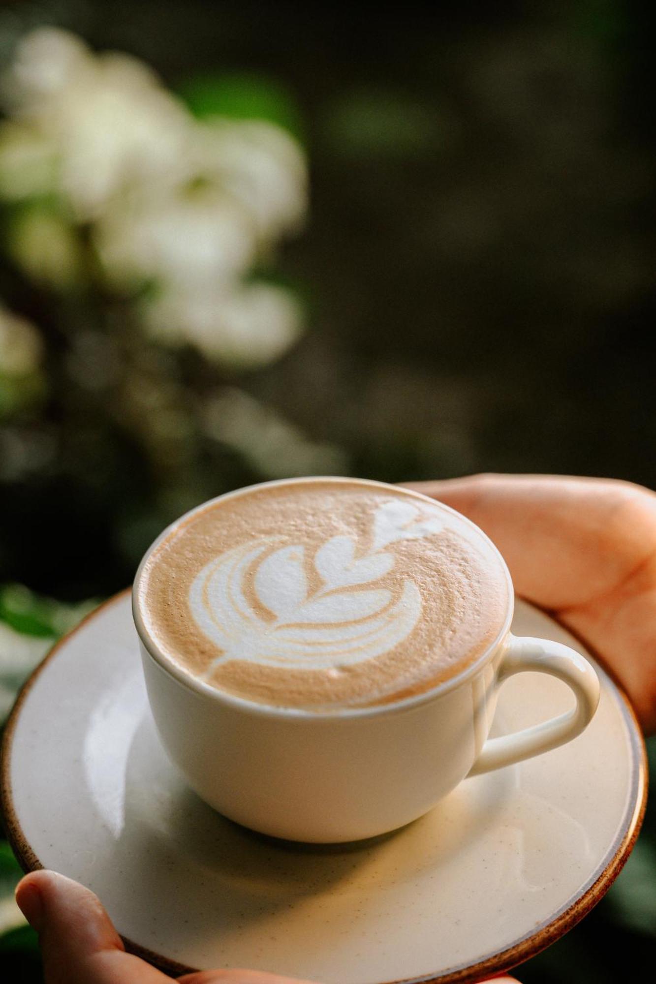 Bonding Coffee Roaster Cafe & Hotel كيبوس المظهر الخارجي الصورة